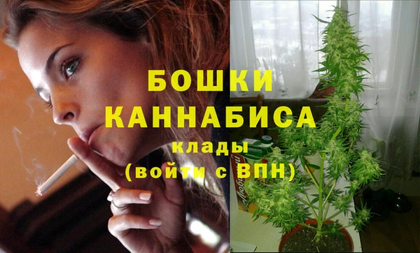 молекула духа Кулебаки