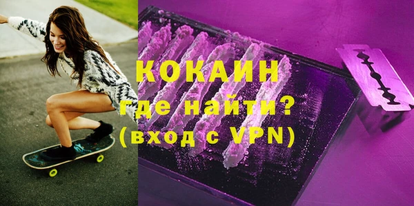 молекула духа Кулебаки