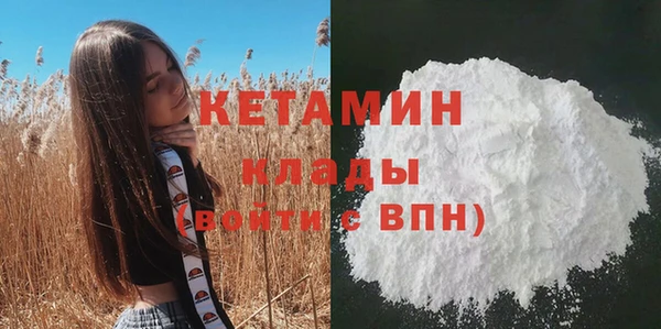 молекула духа Кулебаки