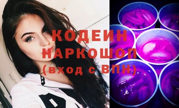 молекула духа Кулебаки