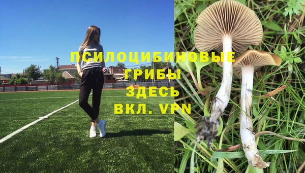 дживик Кукмор