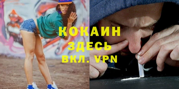 молекула духа Кулебаки