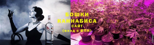 молекула духа Кулебаки