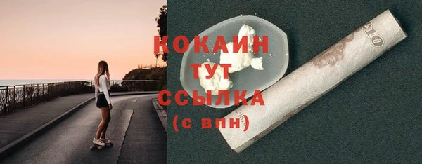 молекула духа Кулебаки